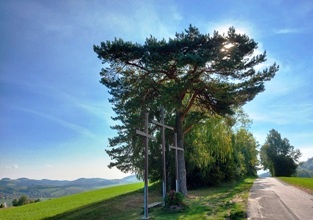 Bucklige Welt