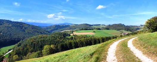 Bucklige Welt