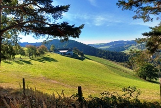 Bucklige Welt
