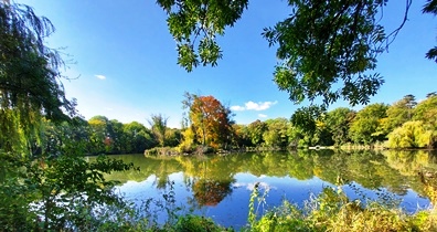 Akademiepark, WN