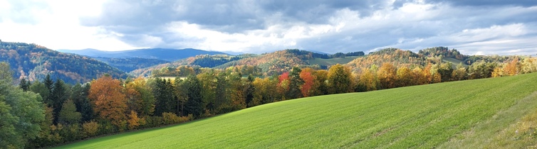 Bucklige Welt