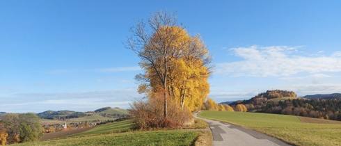 Bucklige Welt