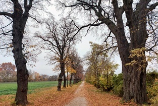 Akademiepark,WN