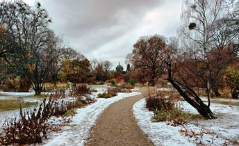 Botanischer Garten