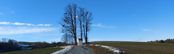 Bucklige Welt