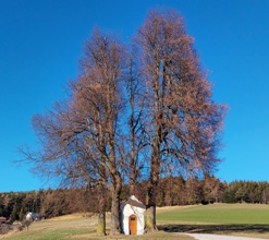 Bucklige Welt