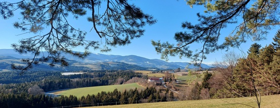 Bucklige Welt