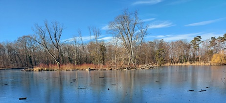 Pionierteich