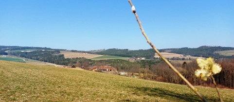 Bucklige Welt