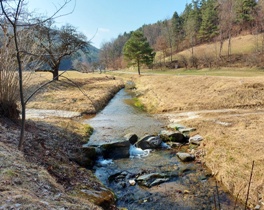 Bucklige Welt