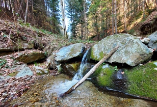 Bucklige Welt