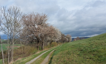 Bucklige Welt
