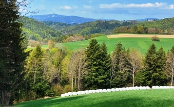Bucklige Welt