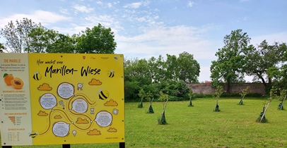 Akademiepark, WrN