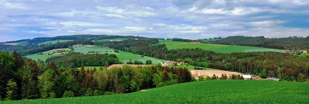 Bucklige Welt