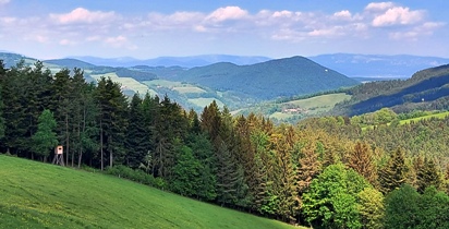 Bucklige Welt