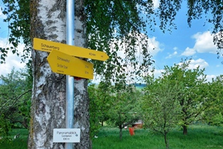 Bucklige Welt