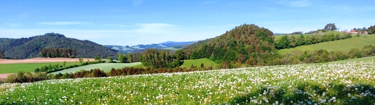 Bucklige Welt