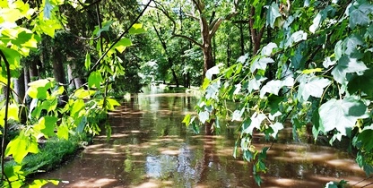 Akademiepark, WN