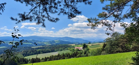 Bucklige Welt