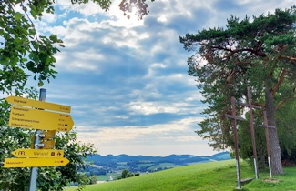 Bucklige Welt