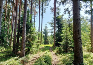 Bucklige Welt