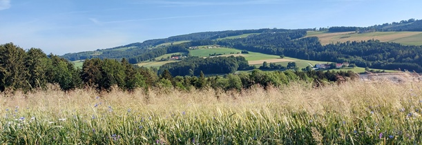 Bucklige Welt