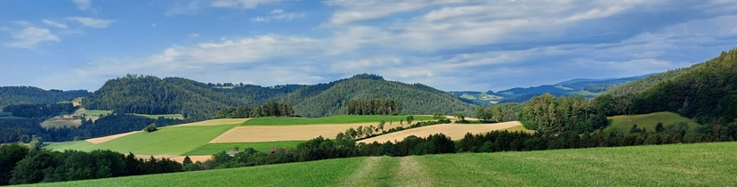 Bucklige Welt