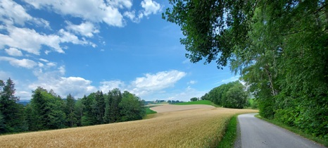 Bucklige Welt