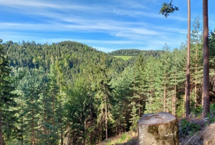 Bucklige Welt