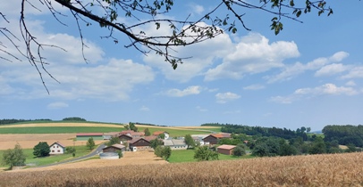Bucklige Welt