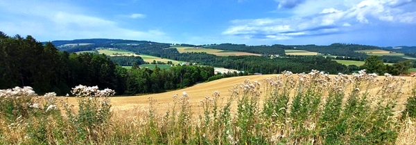 Bucklige Welt