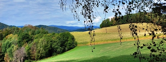 Bucklige Welt