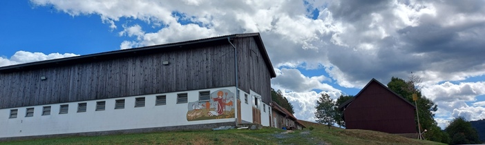 Bucklige Welt