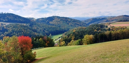 Bucklige Welt