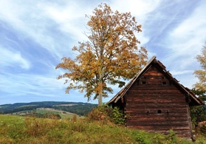 Bucklige Welt