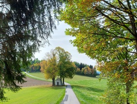Bucklige Welt