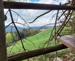 Bucklige Welt