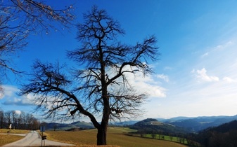 Bucklige Welt