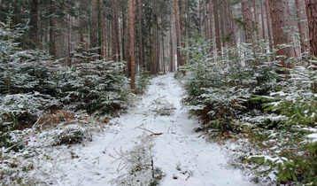 Bucklige Welt