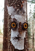 Bucklige Welt