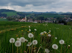 Bucklige Welt