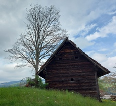 Bucklige Welt