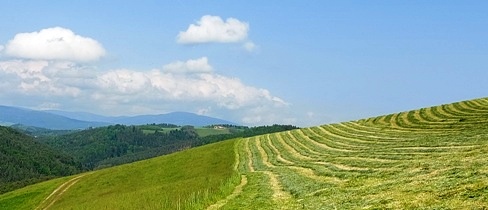 Bucklige Welt
