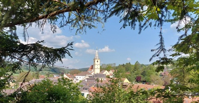 Bucklige Welt