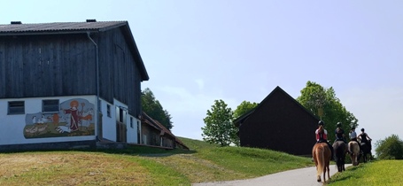 Bucklige Welt