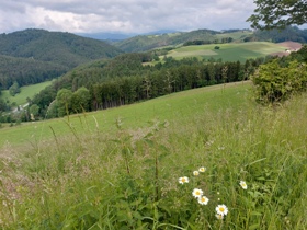 Bucklige Welt