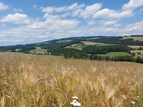 Bucklige Welt