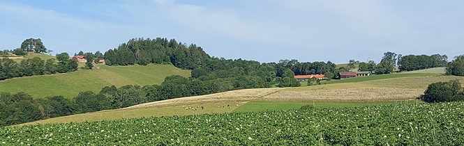 Bucklige Welt