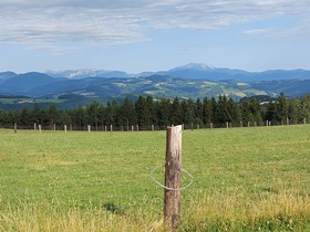Ebenhof